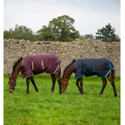 Veulen deken Horseware Amigo Ripstop Foal 50g Veulen deken Horseware Amigo Ripstop Foal 50g