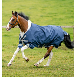 Horseware Amigo Bravo 12 XL 250g deken Horseware Amigo Bravo 12 XL 250g deken