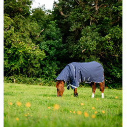 Horseware Rhino Plus Vari-Layer 250g deken Zwart / titaniumgrijs / klassiek blauw Horseware Rhino Plus Vari-Layer 250g deken Zwart / titaniumgrijs / klassiek blauw