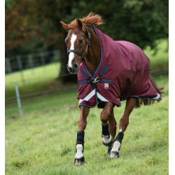Horseware Outdoor deken Rambo Wug 200g Bordeaux