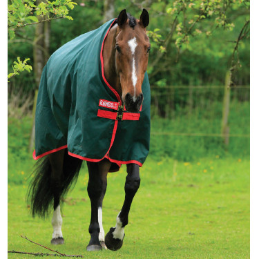 Buitendeken Horseware Rambo Original 0g Groen / rood Buitendeken Horseware Rambo Original 0g Groen / rood