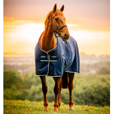 Horseware Amigo Ripstop 900D Pony Turnout 50g Deken Horseware Amigo Ripstop 900D Pony Turnout 50g Deken