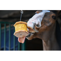 Natural'Rock Top Natural'Innov Natural'Rock Top Natural'Innov