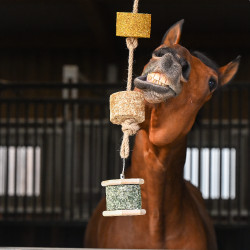 Steun Natural'Rock Natural'Innov