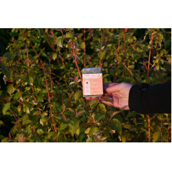 Wash Daily Happy Scoop