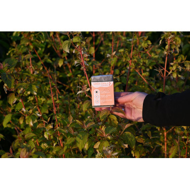 Wash Daily Happy Scoop