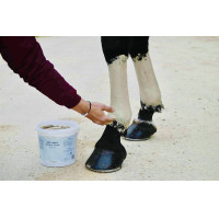 Kleipasta Frisheid & Comfort Nutragile Kleipasta Frisheid & Comfort Nutragile