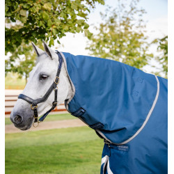 Horseware Ionic Therapy Turnout 100g deken Bleu imperial / argent /Marine Blauw Horseware Ionic Therapy Turnout 100g deken Bleu imperial / argent /Marine Blauw