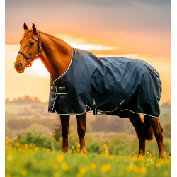 Horseware Amigo Ripstop 900D Poney Turnout 0g Deken Marine witney Marineblauw Horseware Amigo Ripstop 900D Poney Turnout 0g Deken Marine witney Marineblauw
