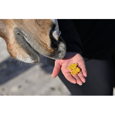 Natural'Crackers Moov Natural'Innov