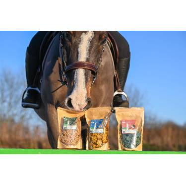 Natural'Crackers Digest Natural'Innov