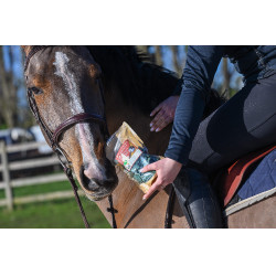 Natural'Crackers Digest Natural'Innov