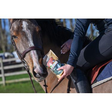 Natural'Crackers Digest Natural'Innov