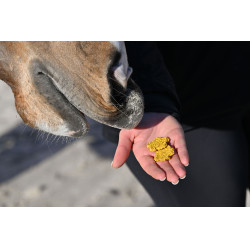 Natural'Crackers Digest Natural'Innov