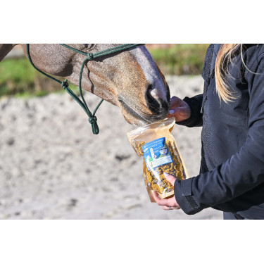 Natural'Crackers Digest Natural'Innov