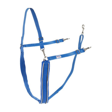 Grote Y-gordel Finn-Tack synthetisch met bies Blauw / wit