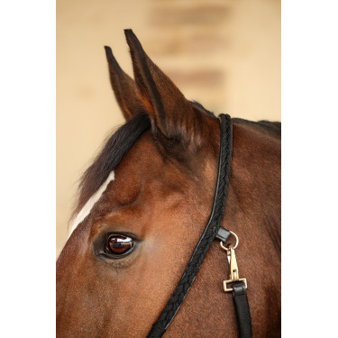 Halster Hups Harcour Zwart