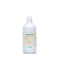 Nutragile Energy Flash-Booster