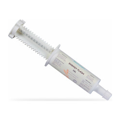 Nutragile Energy Flash-Booster