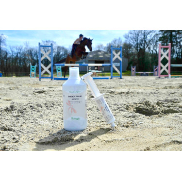 Nutragile Energy Flash-Booster