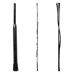 Chambrière Waldhausen