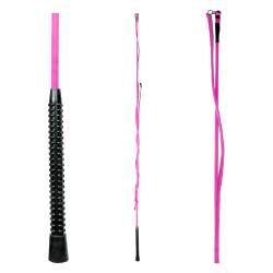 Chambrière Waldhausen Roze
