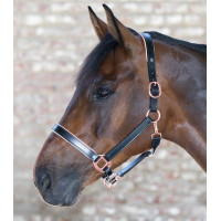 Roze leren halster Waldhausen X-Line Zwart