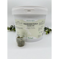 Framboosstruik Nutragile