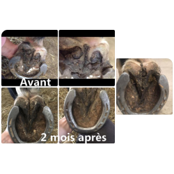 Behandelingsspray voor zool- en straalrot Ekin Behandelingsspray voor zool- en straalrot Ekin