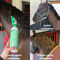 Ontklittingsverzorging voor manen Ekin Ontklittingsverzorging voor manen Ekin