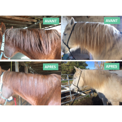 Ontklittingsverzorging voor manen Ekin Ontklittingsverzorging voor manen Ekin