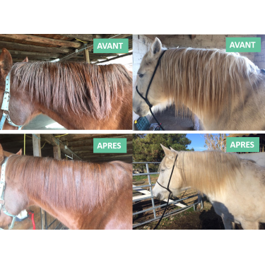 Ontklittingsverzorging voor manen Ekin Ontklittingsverzorging voor manen Ekin