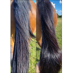 Ontklittingsverzorging voor manen Ekin Ontklittingsverzorging voor manen Ekin