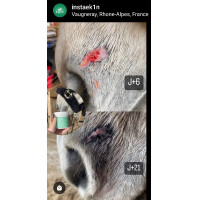 Ekin herstellende huidbalsem