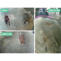 Anti-jeukbalsem Ekin Anti-jeukbalsem Ekin