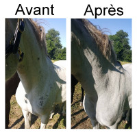 Insectenafweermiddel Ekin