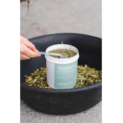Aanvullend voer Alodis Care Horse Complexe