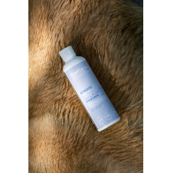 Aanvullend voer Alodis Care Cani Complexe voor honden Aanvullend voer Alodis Care Cani Complexe voor honden