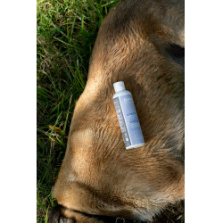 Aanvullend voer Alodis Care Cani Complexe voor honden Aanvullend voer Alodis Care Cani Complexe voor honden
