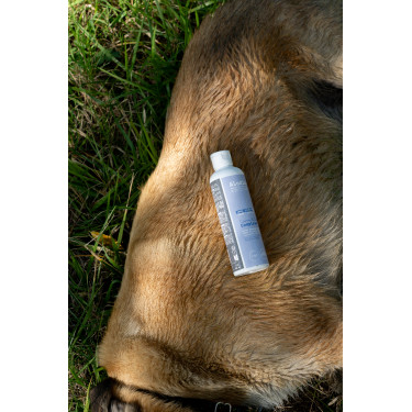 Aanvullend voer Alodis Care Cani Complexe voor honden Aanvullend voer Alodis Care Cani Complexe voor honden