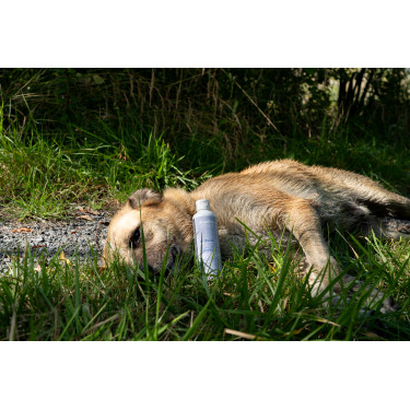 Aanvullend voer Alodis Care Cani Complexe voor honden Aanvullend voer Alodis Care Cani Complexe voor honden