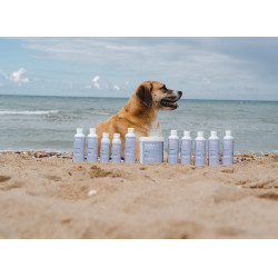 Alodis Care Cani Clay klei voor honden