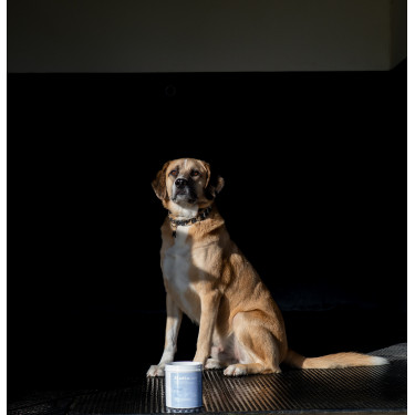 Alodis Care Cani Clay klei voor honden