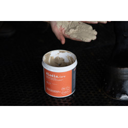 Klei Alodis Care Tendi Flash