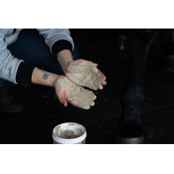 Klei Alodis Care Tendi Flash