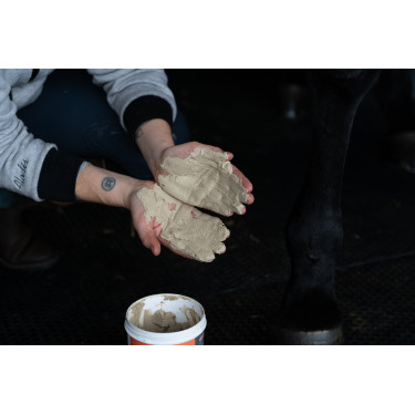 Klei Alodis Care Tendi Flash