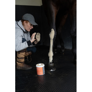 Klei Alodis Care Tendi Flash