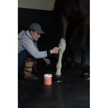 Klei Alodis Care Tendi Flash