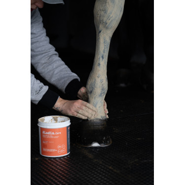 Klei Alodis Care Tendi Flash