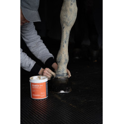 Klei Alodis Care Tendi Flash